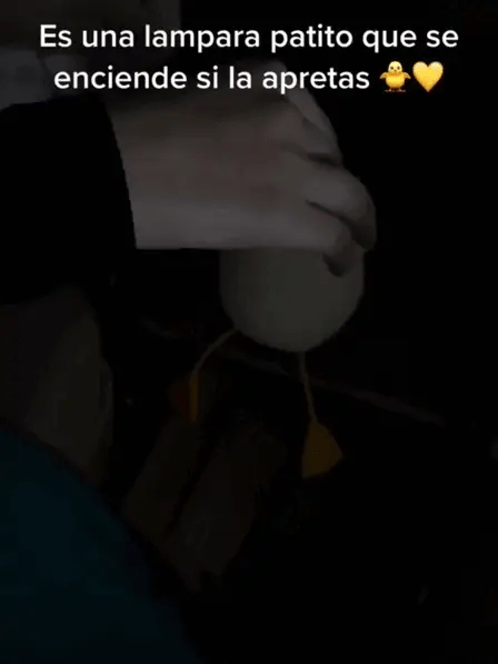 DuckCharm