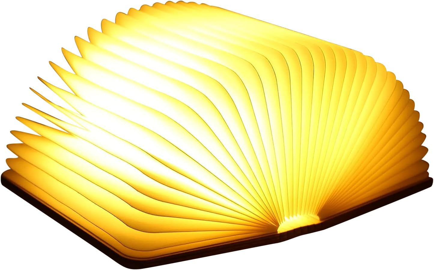 LibroLuz