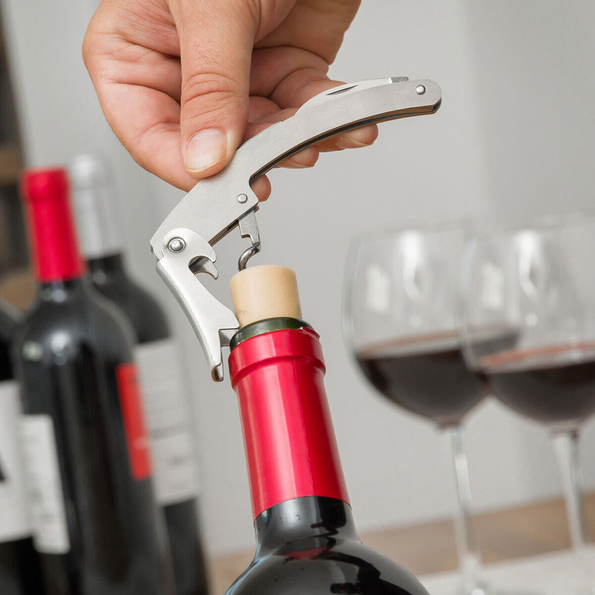 InnovaGoods Wine Bottle Case 5 Pieces